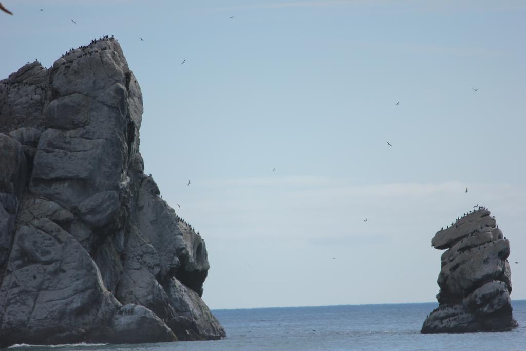 Seaside Inn Morro Bay Εξωτερικό φωτογραφία